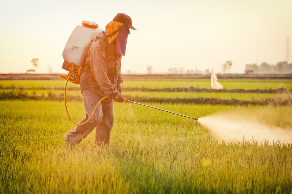 Plan%20le%20foll%20pesticides%20gouvernement%20agriculture