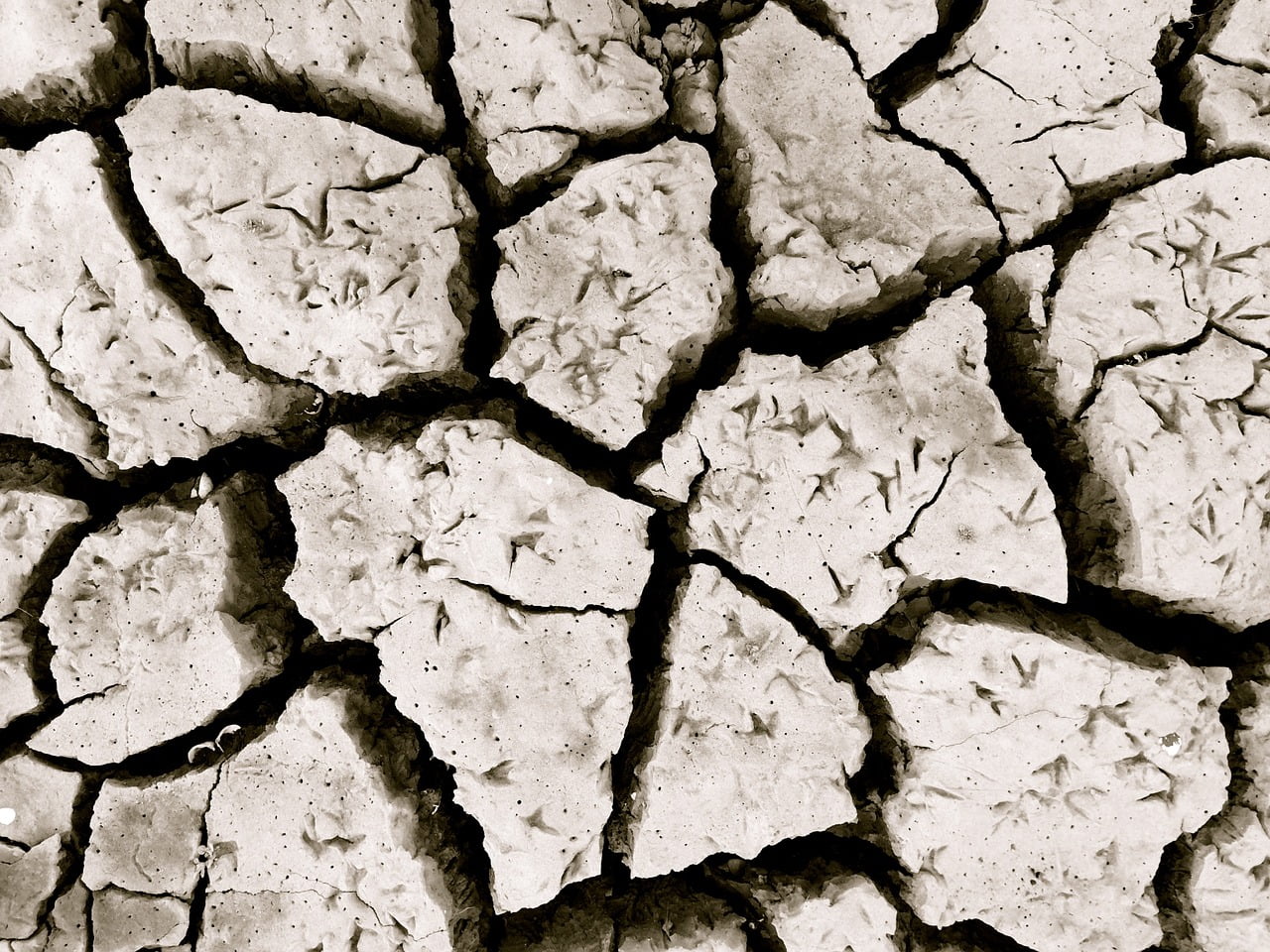 Rechauffement Climatique 2000 Milliards 2