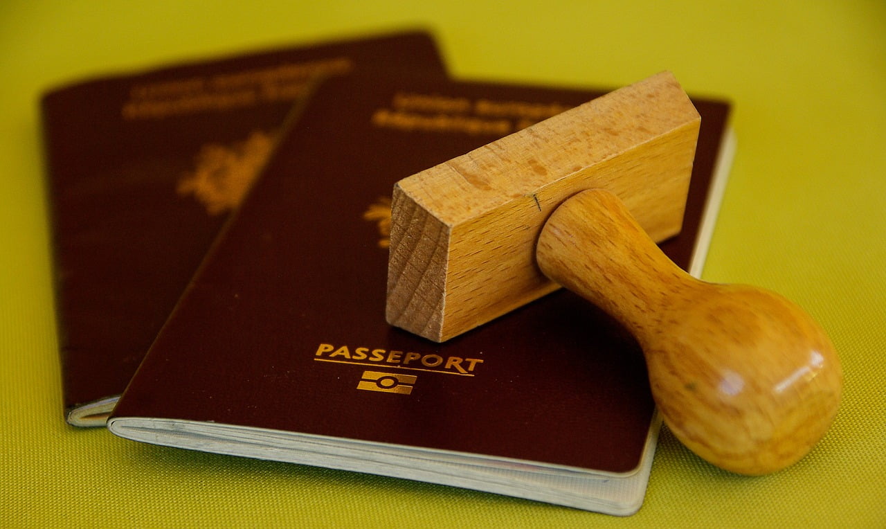 Recrutement Immigration Talents Qualification Main Oeuvre Ocde