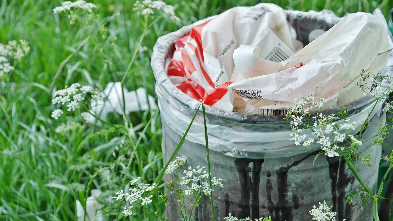 Recyclage Dechets Bureau Entreprise Projet Revalorisation