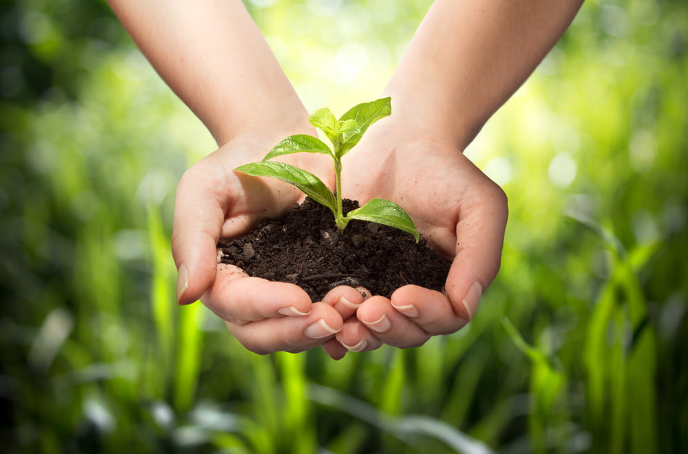 Reduction Emissions Co2 France Objectif Mix Energetique Energie Fossile