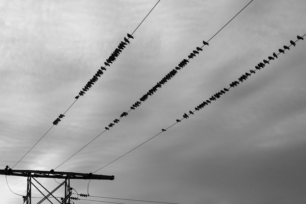 Reseau Electrique Danger Distance France