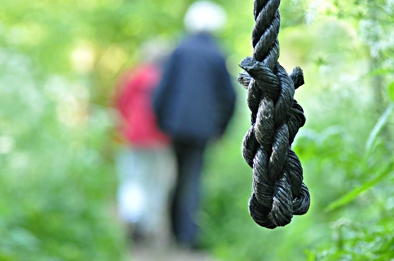 Salaire Agriculteurs Baisse Revenus Suicide Crise