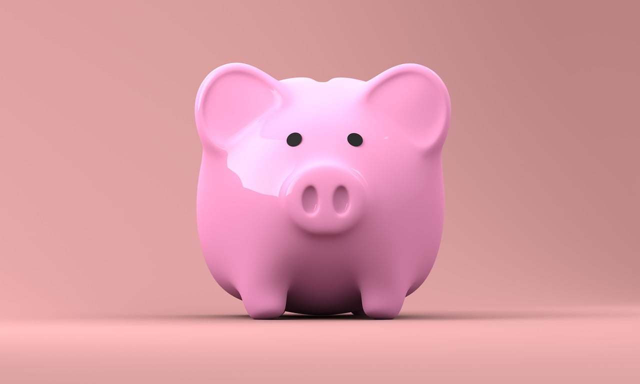 Salaire Smic Coup De Pouce 1