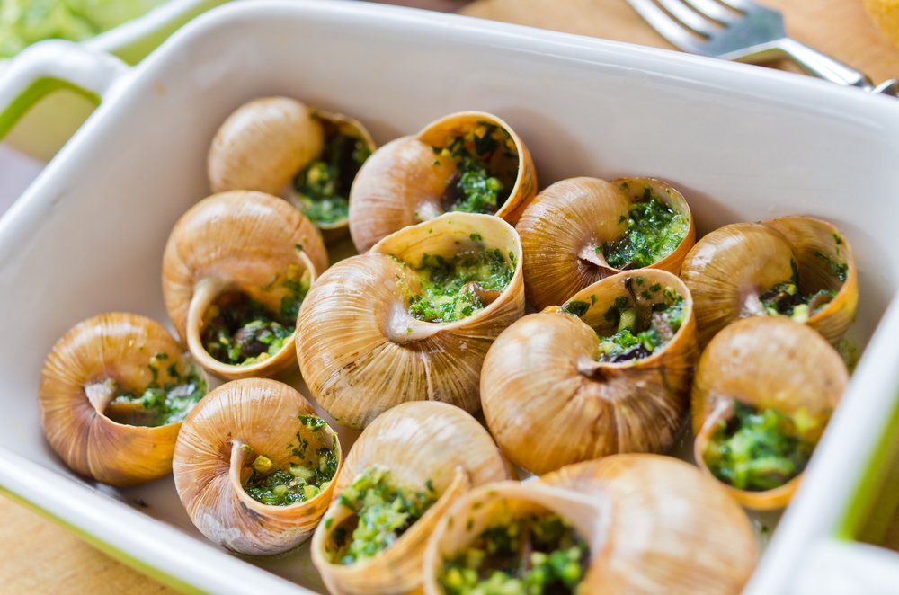 Salon Gastronomie Grand Palais Prix