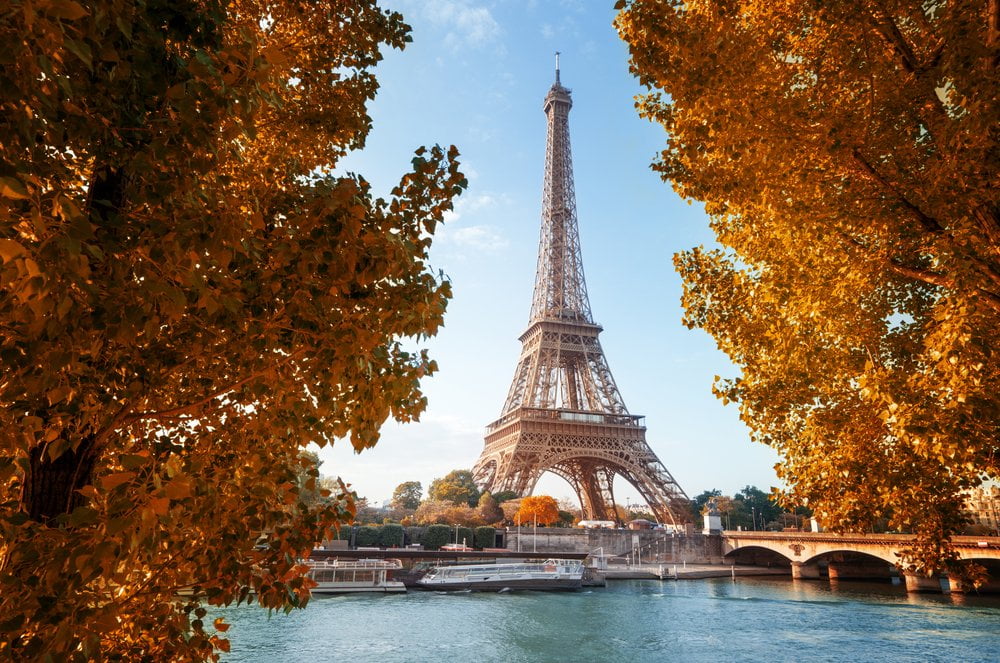Shutterstock 316978307
