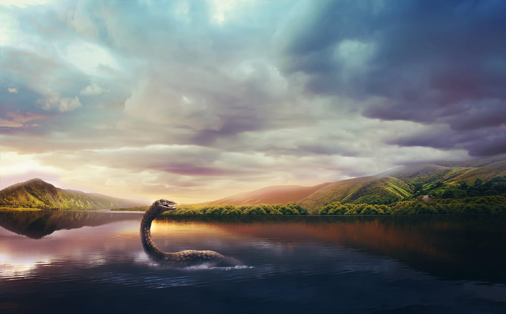 Shutterstock 678753556