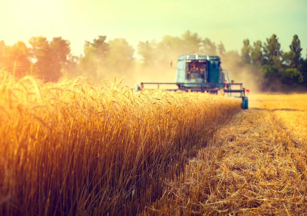 Traite Transatlantique Agriculture Think Tank Europe