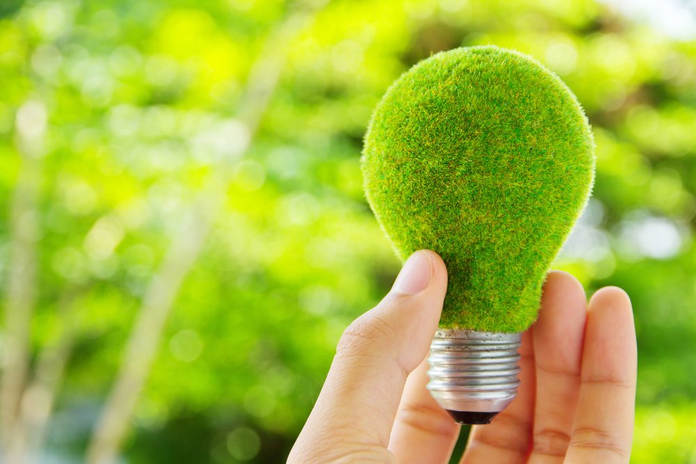 Transition Energetique Investissements Entreprises Enjeux