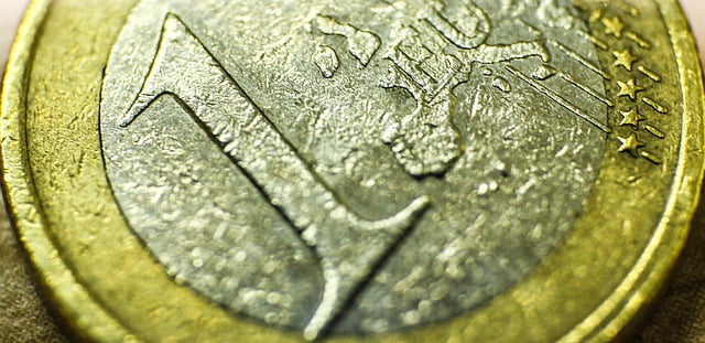 Union Europeenne Adhesion Euro Monnaie Unique