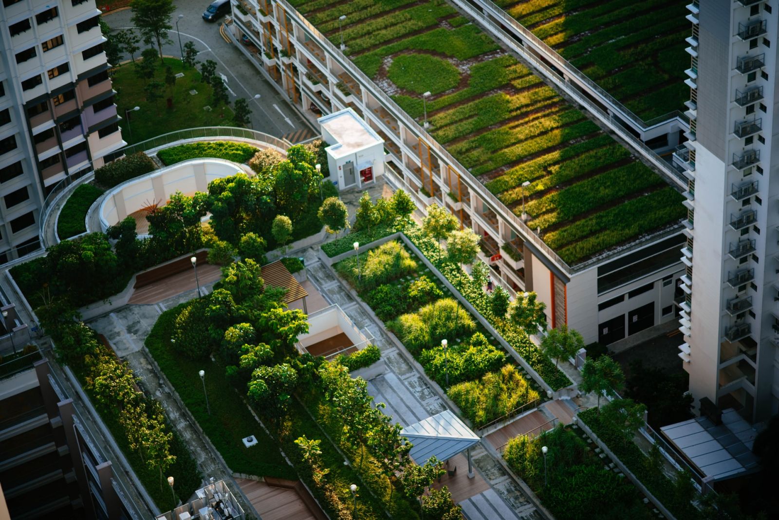 Ville Verte Jardin Urbain Potager Toit