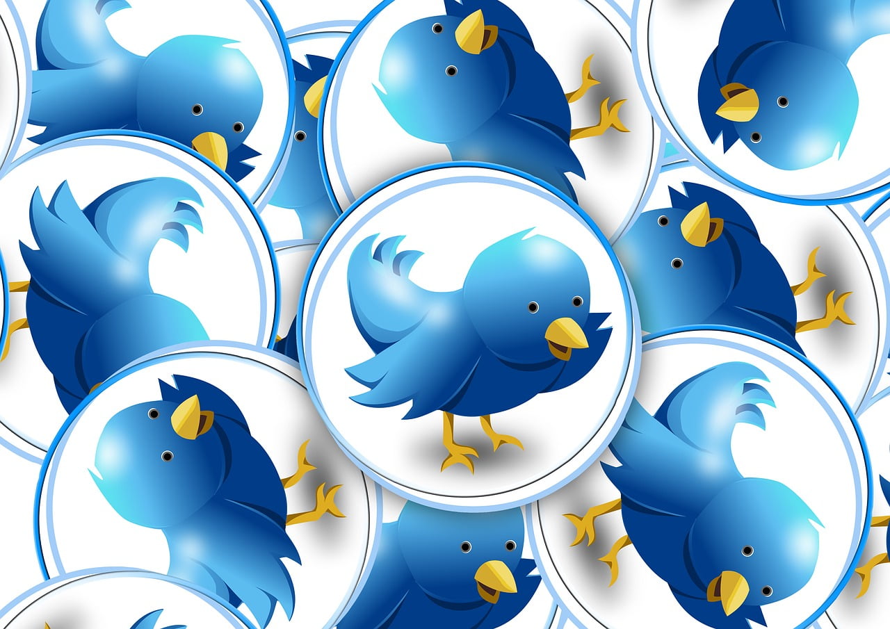 Witter Rumeur Fermeture 1