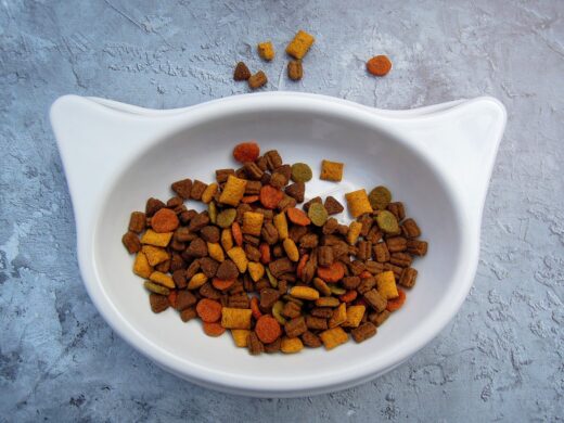 Aliments Pour Animaux Domestiques Touours Chers Rares