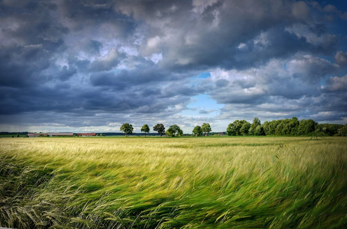 Environnement Urgence Climatique Plan Ambitieux