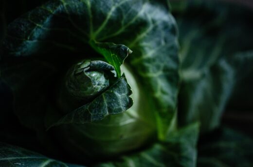 Produits Bio Recette Alerte Generale