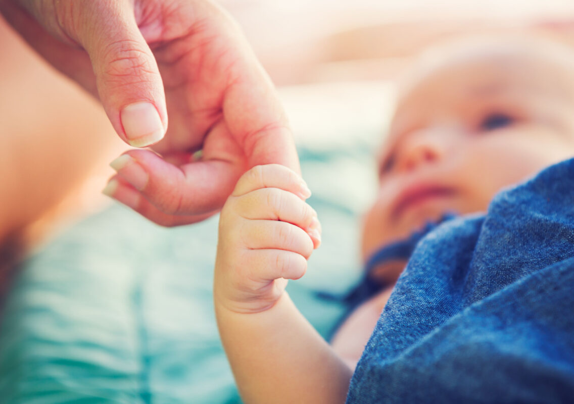 Demographie Probleme Natalite France Monde Pays Riche Pauvre Bichot
