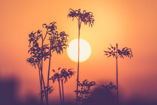 Canicule Aout 2023 France Dome Chaleur