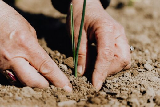 Ecologie Jour Depassement Limites Ressources Annuelles Dette