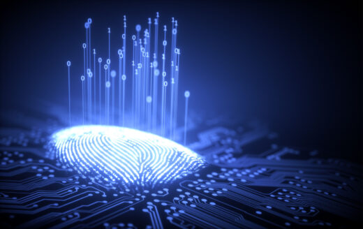Securisation Identites Entreprise Internet Danger Piratage Vitu