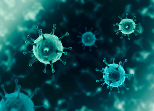 covid-19, campagne de vaccination, rappel vaccin, personnes vulnérables, personnes âgées