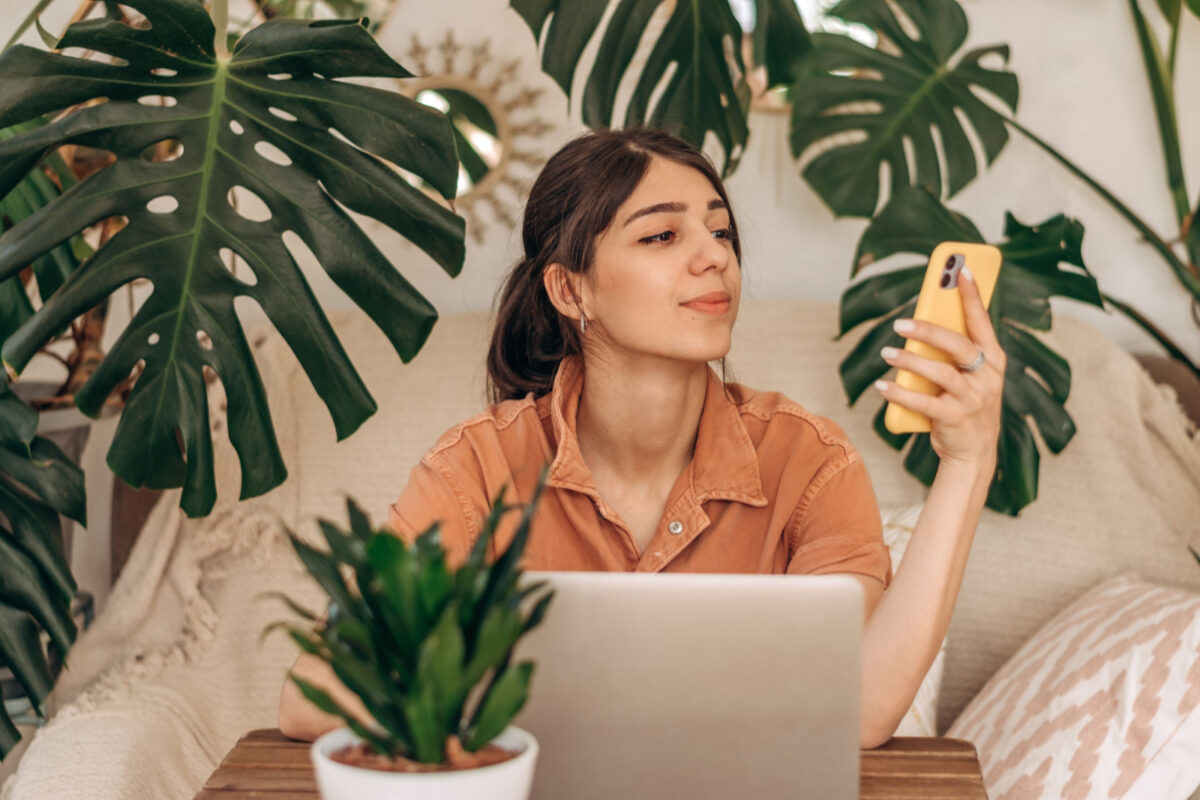 Web Jungle Internet Fonctionnement Reseaux Marketing Pinguet