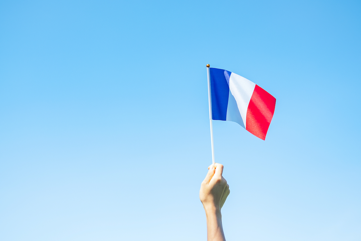 EDF, démembrement, protection, État, loi, Assemblée national, vote, TRVE, tarif réglementé de vente d'électricité, gouvernement, actionnariat salarié, TPE, 2025, capital, Enedis, Sénat, Conseil constitutionnel, parti socialiste, Parlement, Assemblée national, député, vote, niche parlementaire, extension