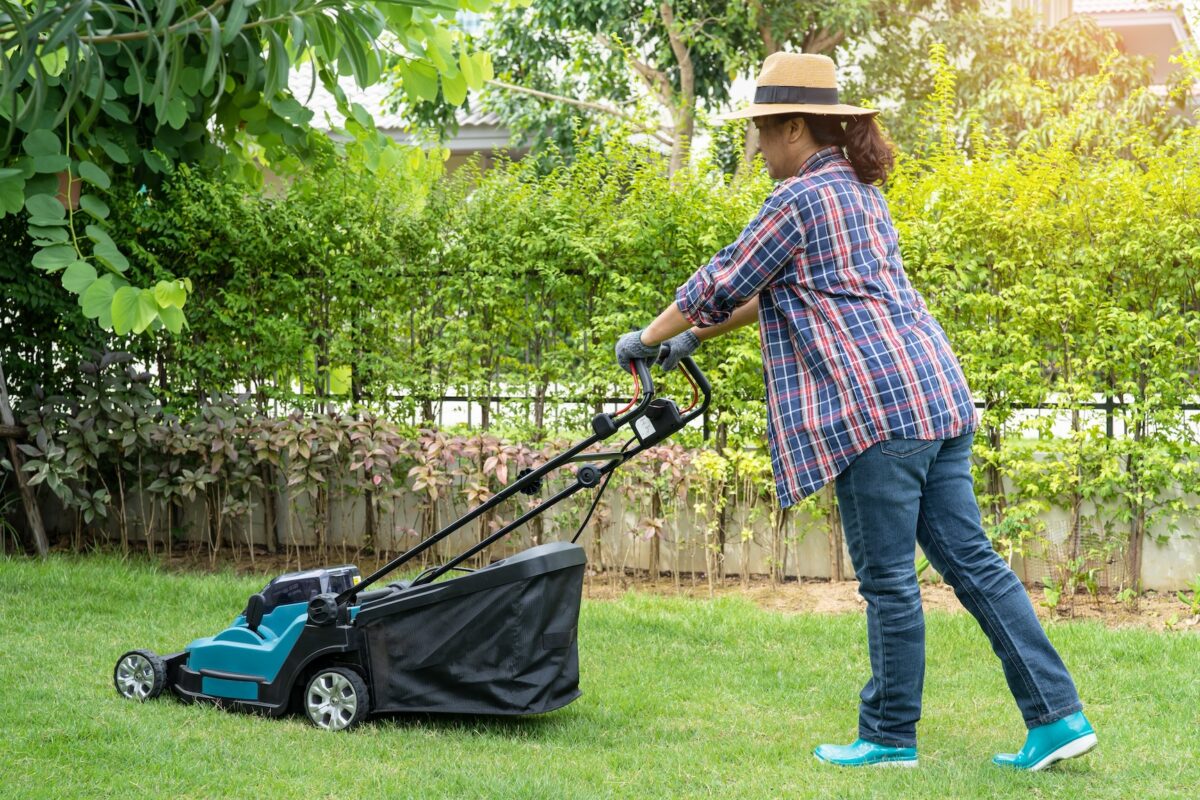 jardin-impots-2024-aide-financiere