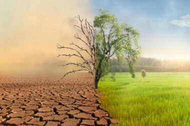 banque, pétrole, france, investissement, climat, ong, critique