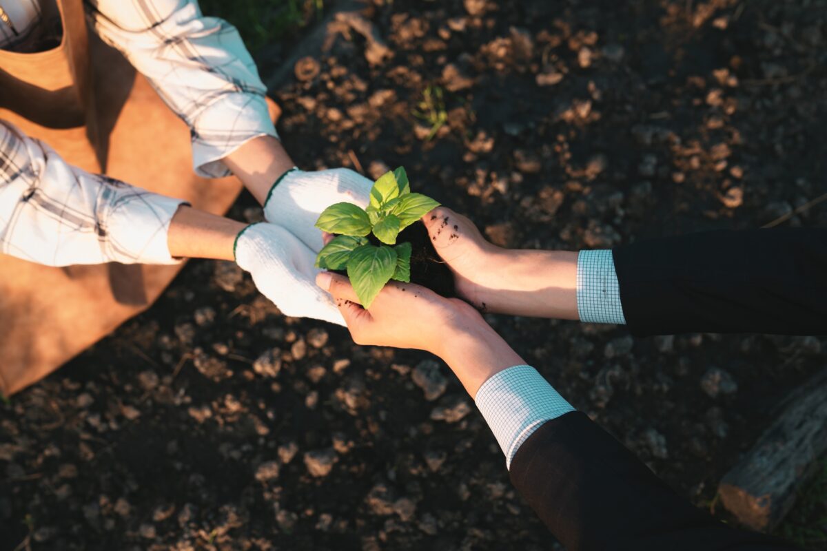 economie-regenerative-tendance-rse