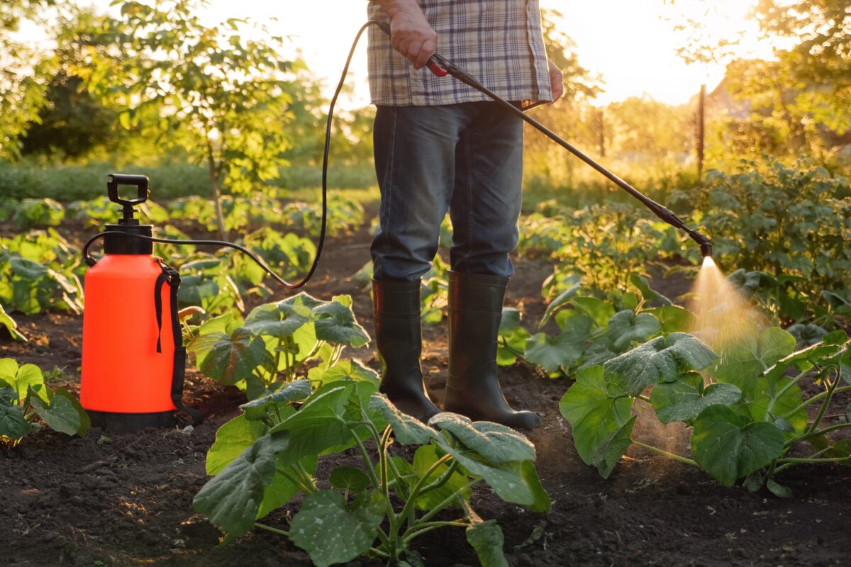 pesticides-agriculture-reduction-gouvernement