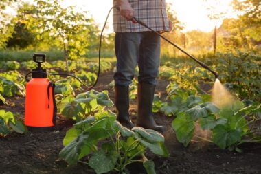 pesticides-agriculture-reduction-gouvernement