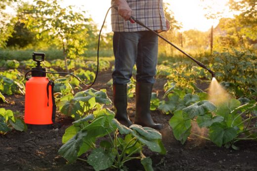 pesticides-agriculture-reduction-gouvernement