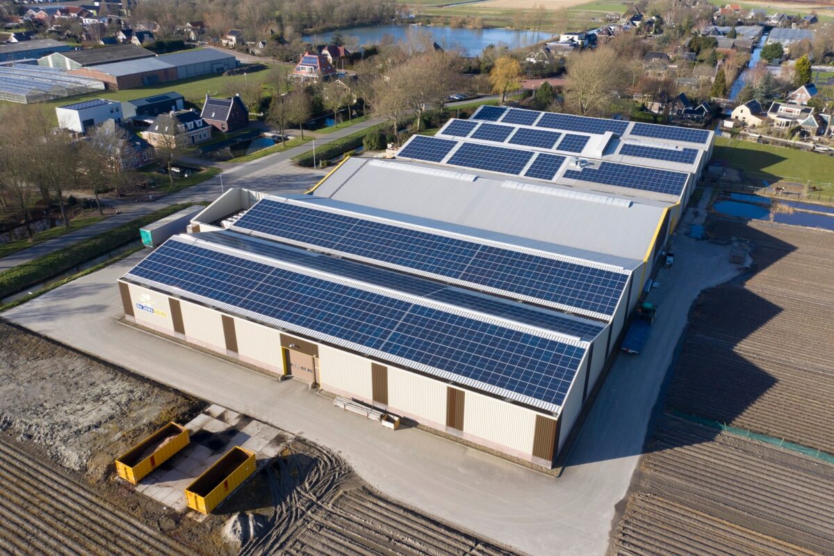 solaire, entreprise, autoconsommation