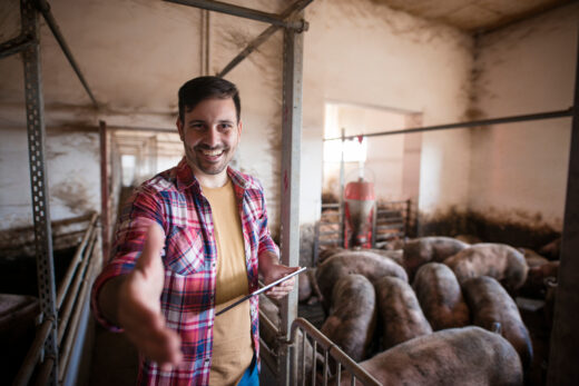 Pig,farm,owner,presenting,his,farm.,portrait,of,successful,pig