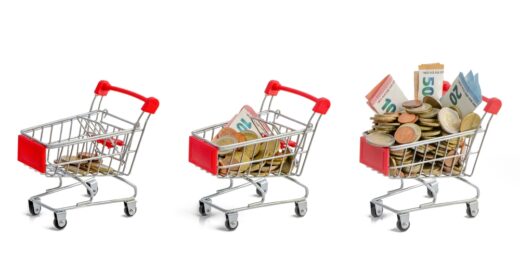 Pouvoir d'achat : quelles stratégies pour s'en sortir ?