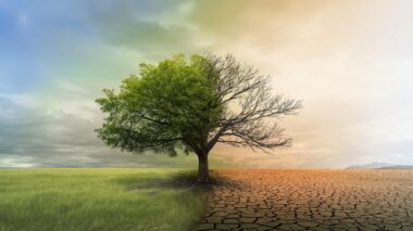 application climat 2080