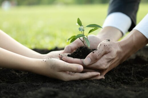 PEAC placement avenir climat