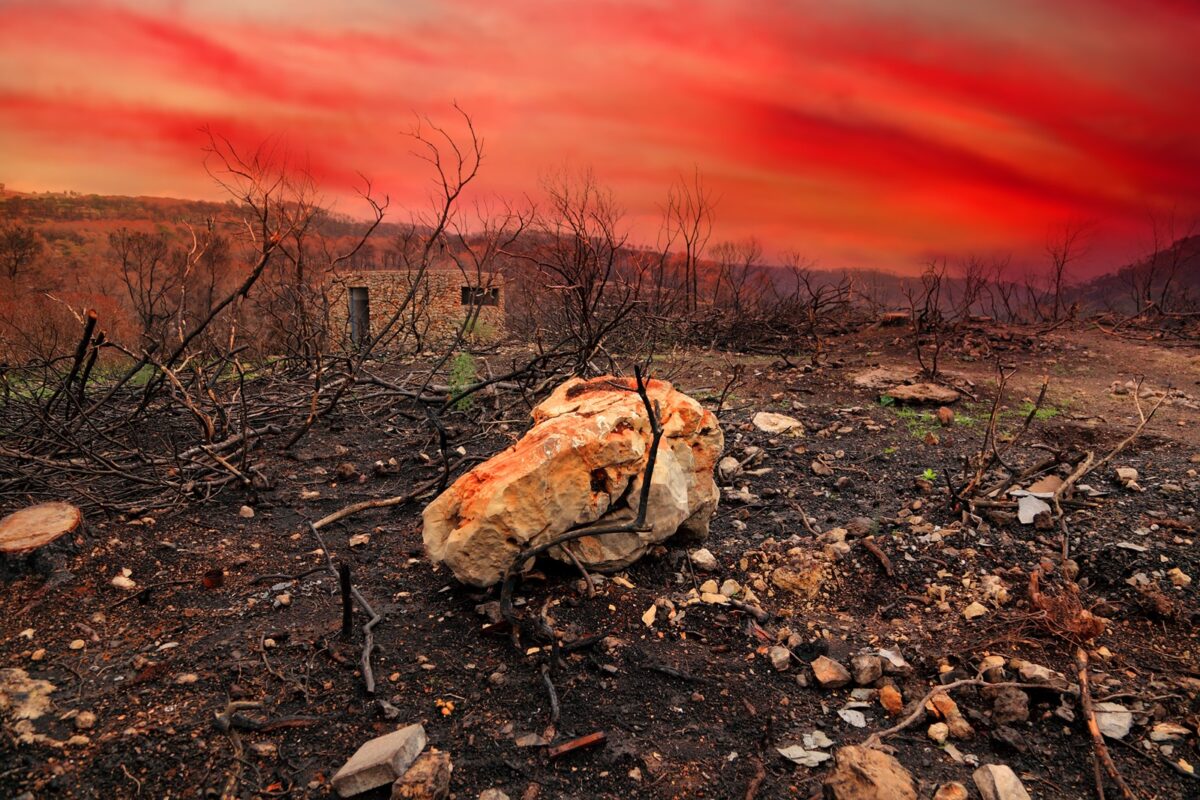 rechauffement climatique, record, température, monde, juillet 2024, terre, danger, climat