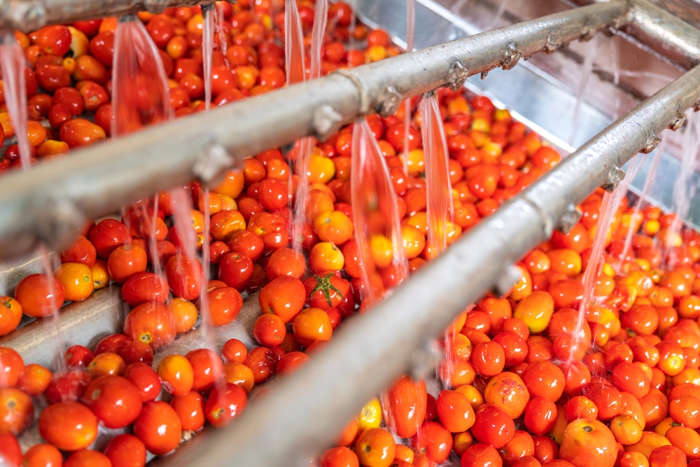Dans le scénarios des "politiques publiques", avec des avancées techniques et une mise à jour des réglementations sur la réutilisation de l'eau dans l'industrie agroalimentaire, cette industrie a réussi à réduire ses prélèvements d'eau de 30 % pour une production équivalente.