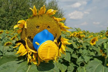 fleuristes pesticides danger santé