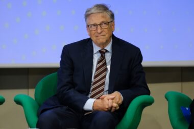 Bill Gates, Elon Musk, ingérence, critique, UE