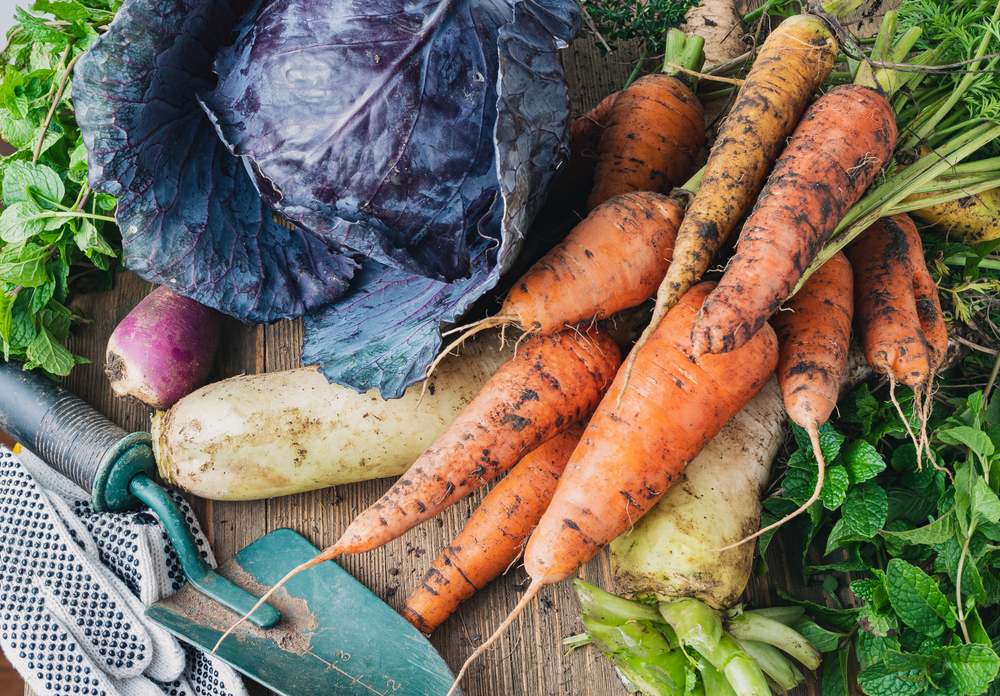 légumes de saison économiques