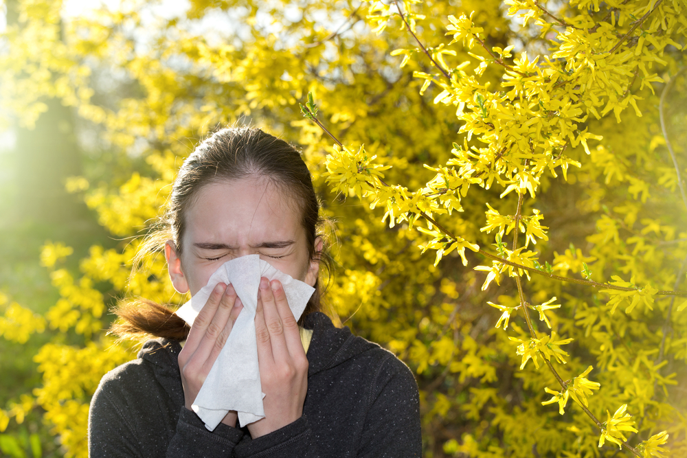 Allergies : quand le réchauffement climatique aggrave la situation