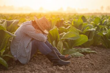 Loi d’orientation agricole : l’agriculture érigée en priorité nationale, mais au prix de l'environnement ?