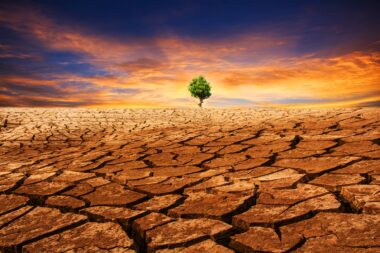 Réchauffement climatique : janvier 2025 établit déjà un record de chaleur