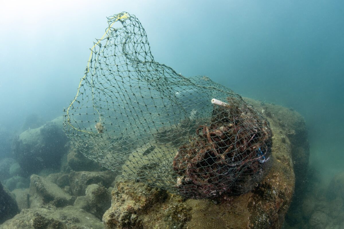 Clean,up,the,ocean,by,collecting,waste.,abandoned,debris,fishing