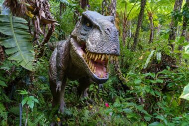 t-rex-sac-a-main-chercheurs-insolite