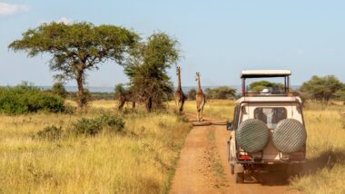 Toutes les compagnies aériennes tanzaniennes placées sur liste noire par l’Europe